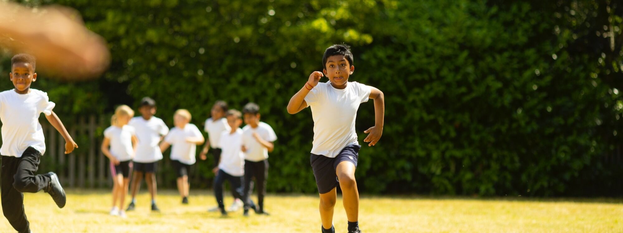 Absence Reporting Beddington Park Academy